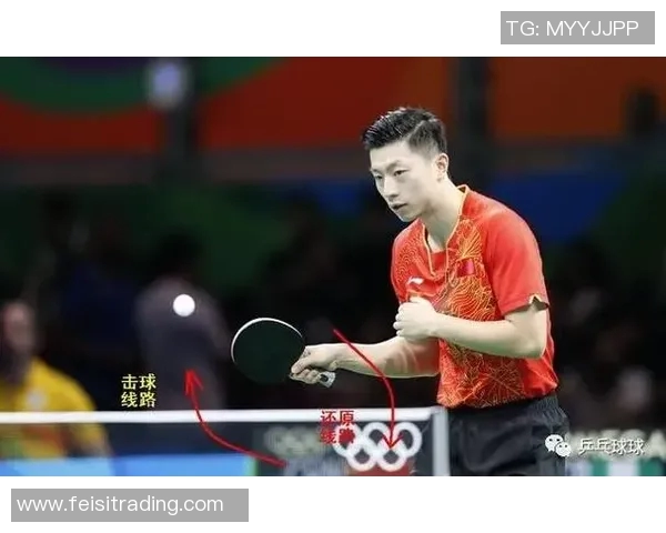 乒乓球爱好者刘丽独家分享技巧与心得助你提升球技