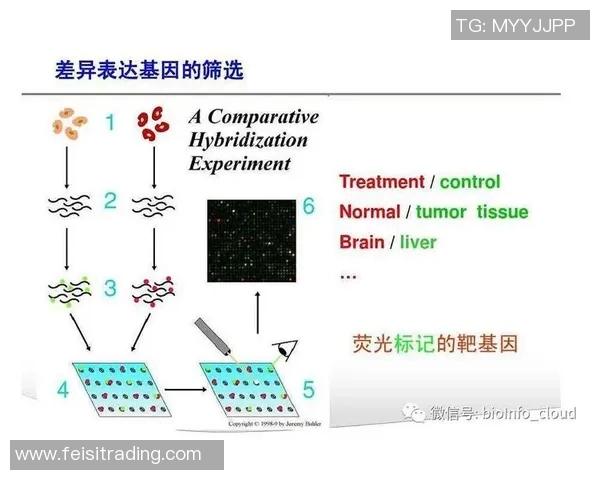 欧冠新球科技揭秘内置芯片实时追踪射门数据提升比赛分析水平