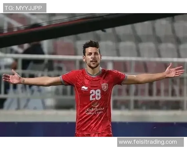 突尼斯与苏丹比赛前瞻及比分预测分析，谁将赢得胜利