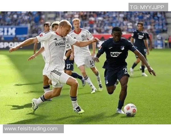 霍芬海姆主场迎战纽伦堡力争三分争夺积分榜优势