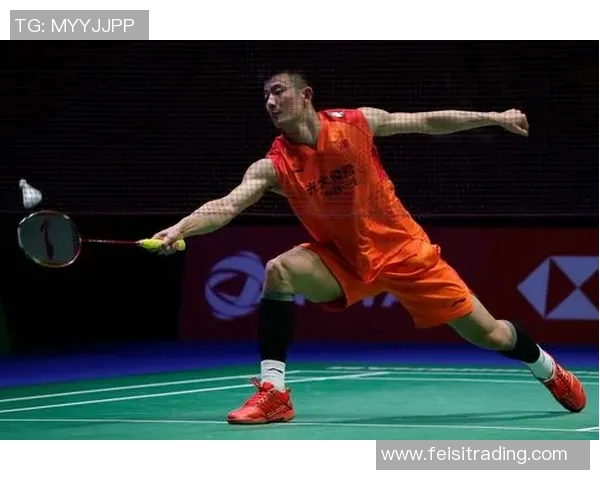 谌龙与林丹巅峰对决精彩回顾视频全程解析与赛后点评