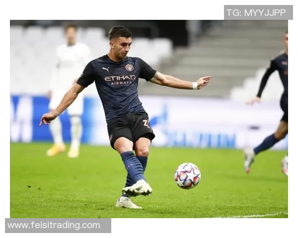 费兰托雷斯的崛起之路：从青年才俊到足球明星的华丽转身