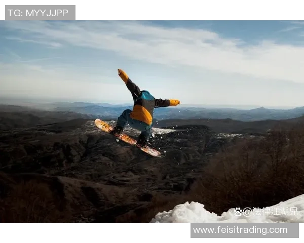 极限运动战术解析：西安极限运动队的控制与协调体系研究MBA