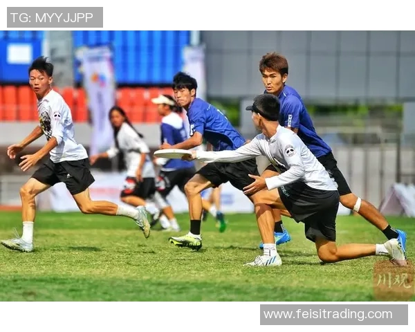 飞盘热潮席卷成都：从竞技到文化的意识转变与团队精神重塑MBA