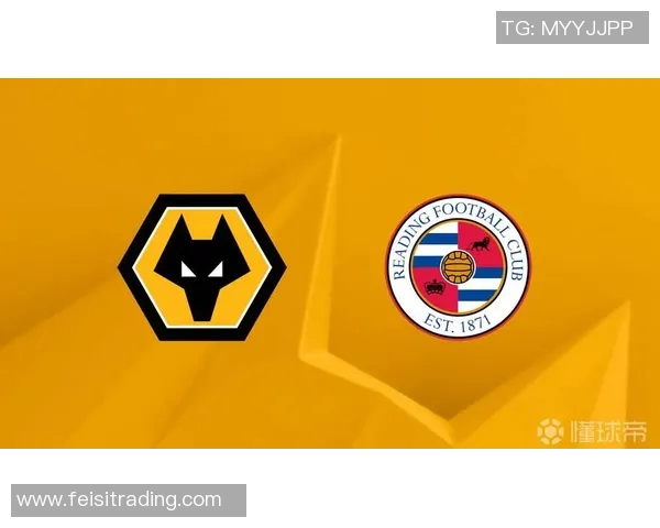 雷丁对阵狼队精彩直播全程回顾与赛后分析