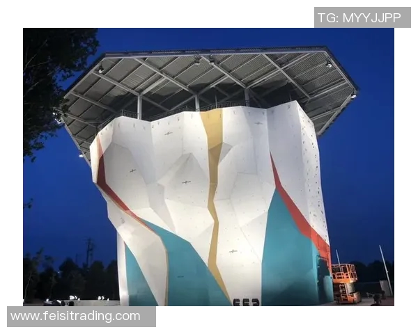 北京极限运动队包夹现象解析及其对运动发展的影响MBA