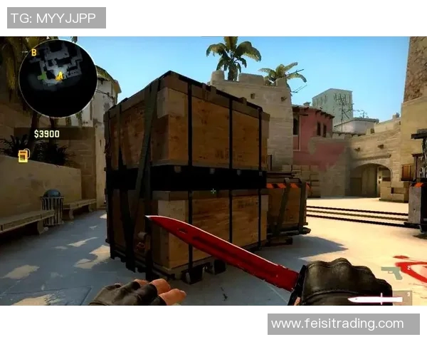 CSGO战术分析：深入探讨JDG战队的防守策略与执行细节