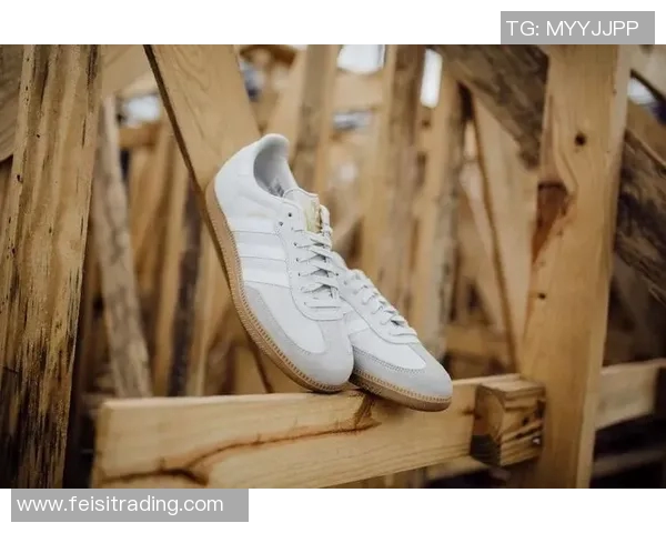 南京足球队的转型之路：从传统强队到现代足球的深度解析