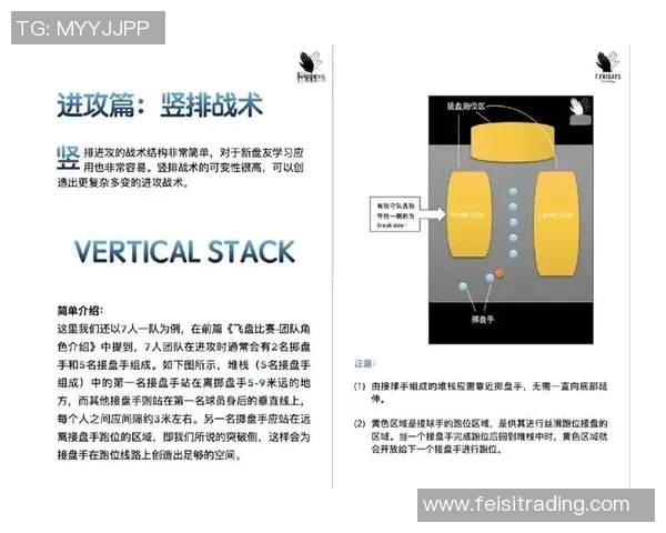 飞盘焦点解析：深入剖析上海飞盘队的默契配合与战术运用
